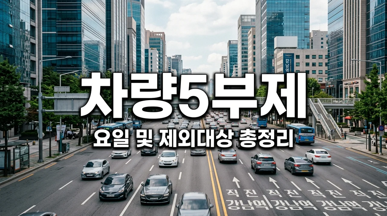 차량5부제 요일 확인법 및 위반 과태료 제외 대상 총정리