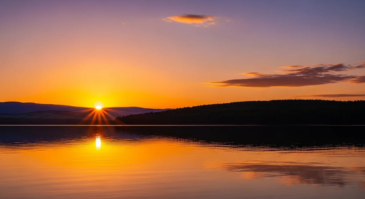 마치며: 함께 공존하는 미래를 위해