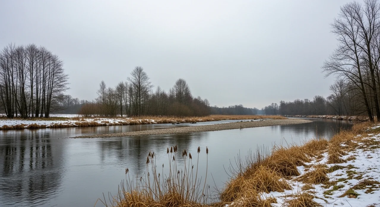 왜 우리는 흰꼬리수리를 보호해야 할까요?
