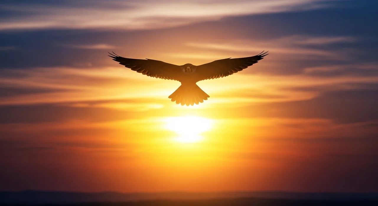 맺음말: 매와 함께 공존하는 미래를 꿈꾸며