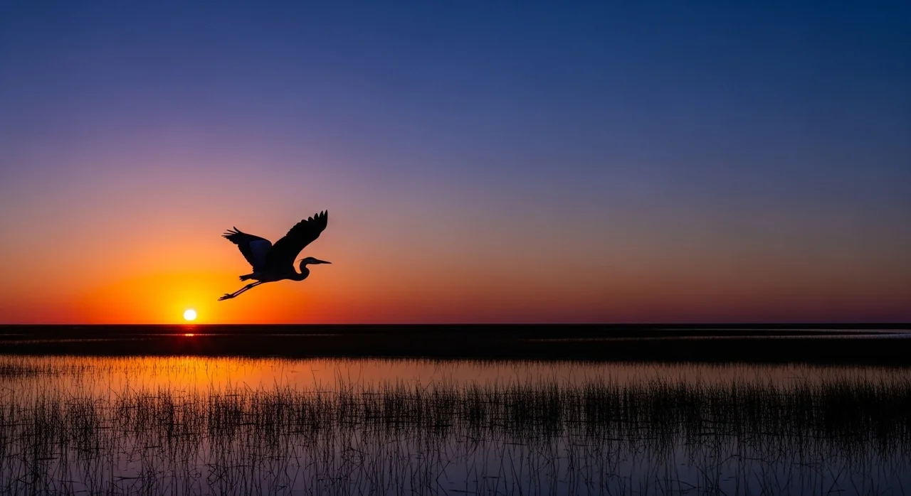 마치며: 생태계의 건강한 순환을 위하여