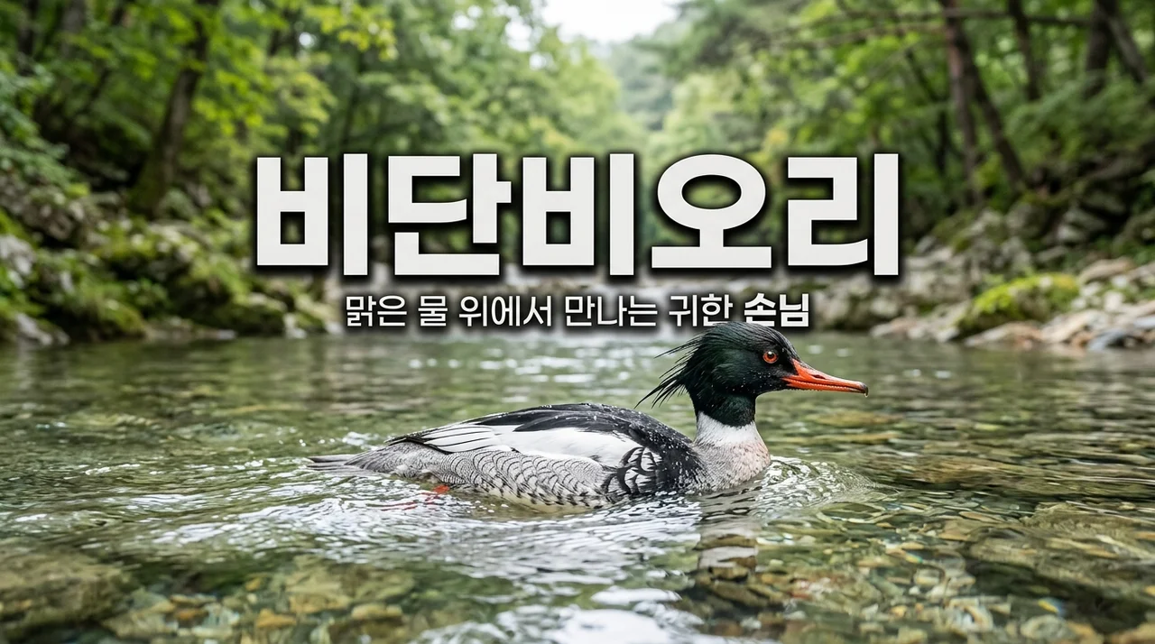 호사비오리: 멸종위기종의 신비로운 생태와 보호의 중요성