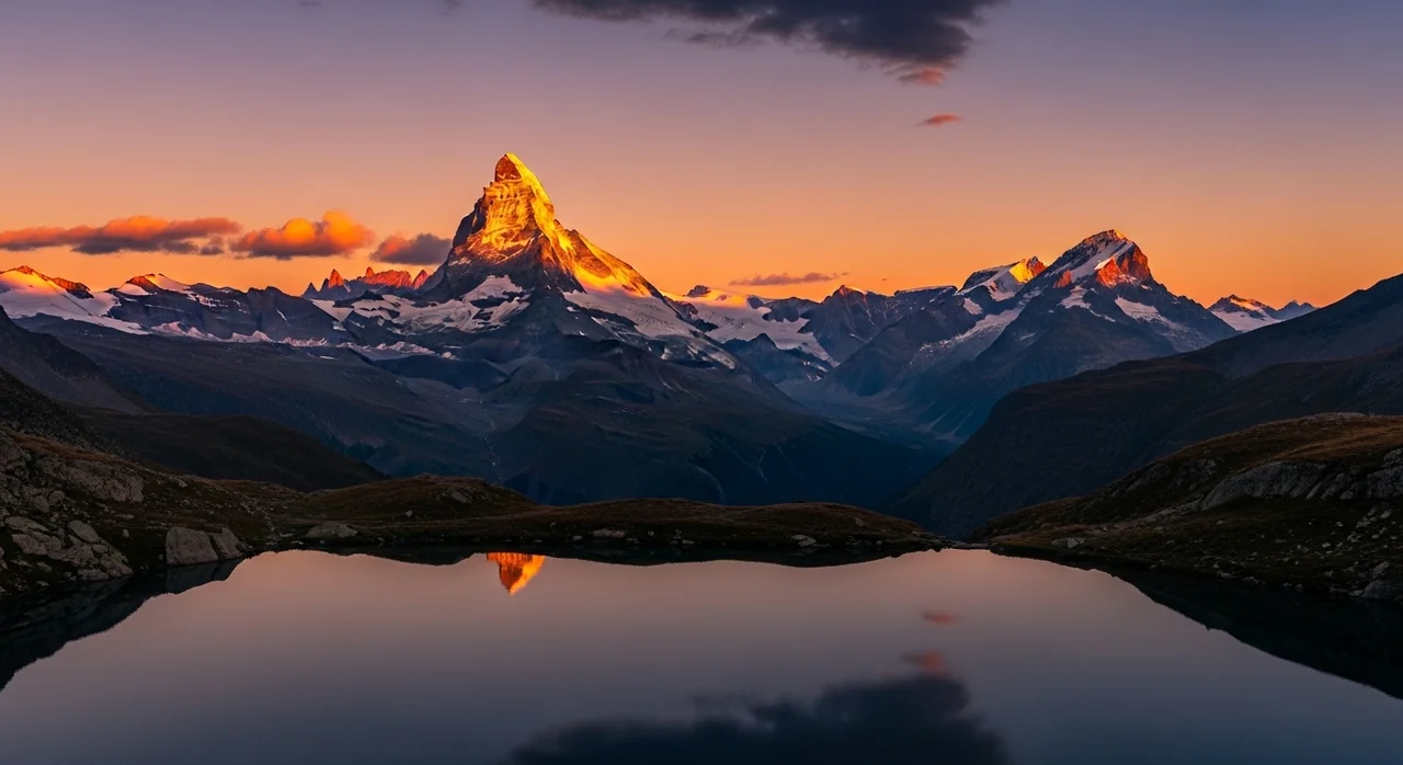 결론: 공존을 위한 우리의 노력