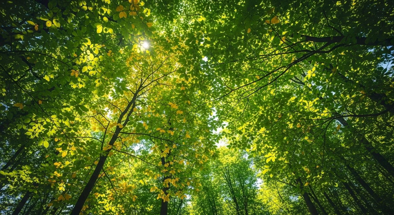 함께 보호해야 할 미래