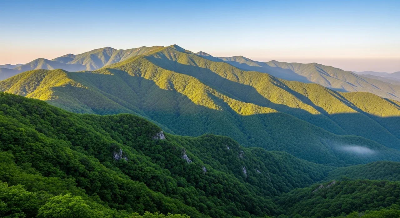 함께 만드는 공존의 가치