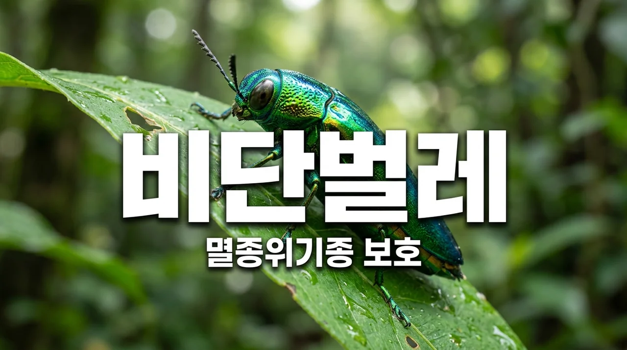 비단벌레 멸종위기종 보호가 중요한 이유와 관찰 방법