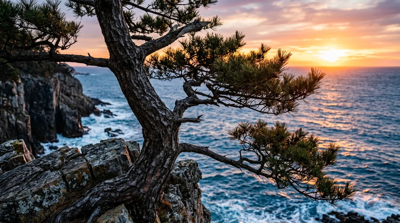 해송 멸종위기종 지정 이유와 보호를 위한 실천 가이드