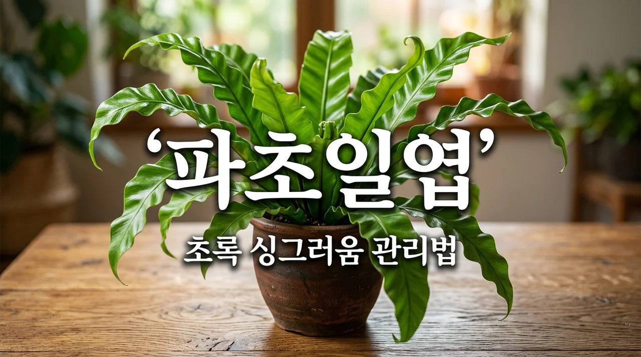 파초일엽 키우기 완벽 가이드: 싱그러운 실내 정원 만들기