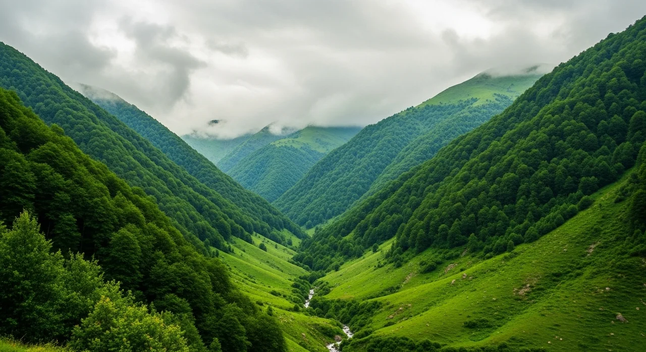 왜 특산식물을 보호해야 할까요?