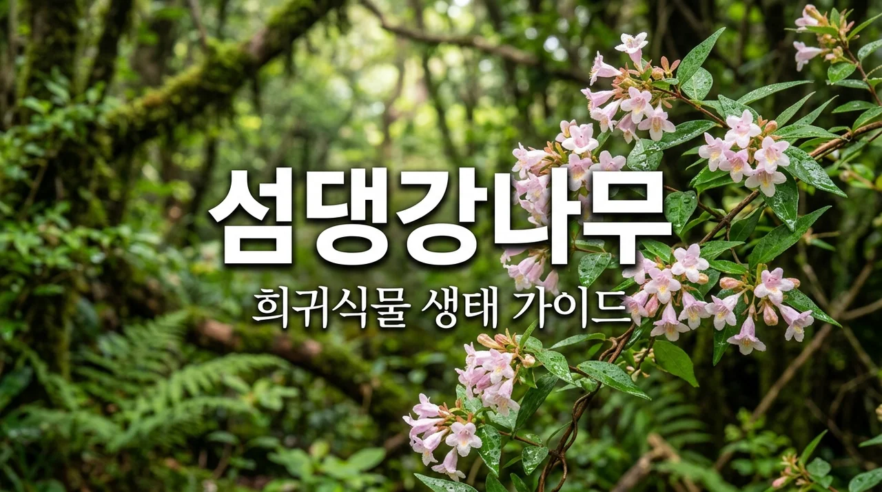 섬댕강나무의 신비로운 특징과 보호가 필요한 이유