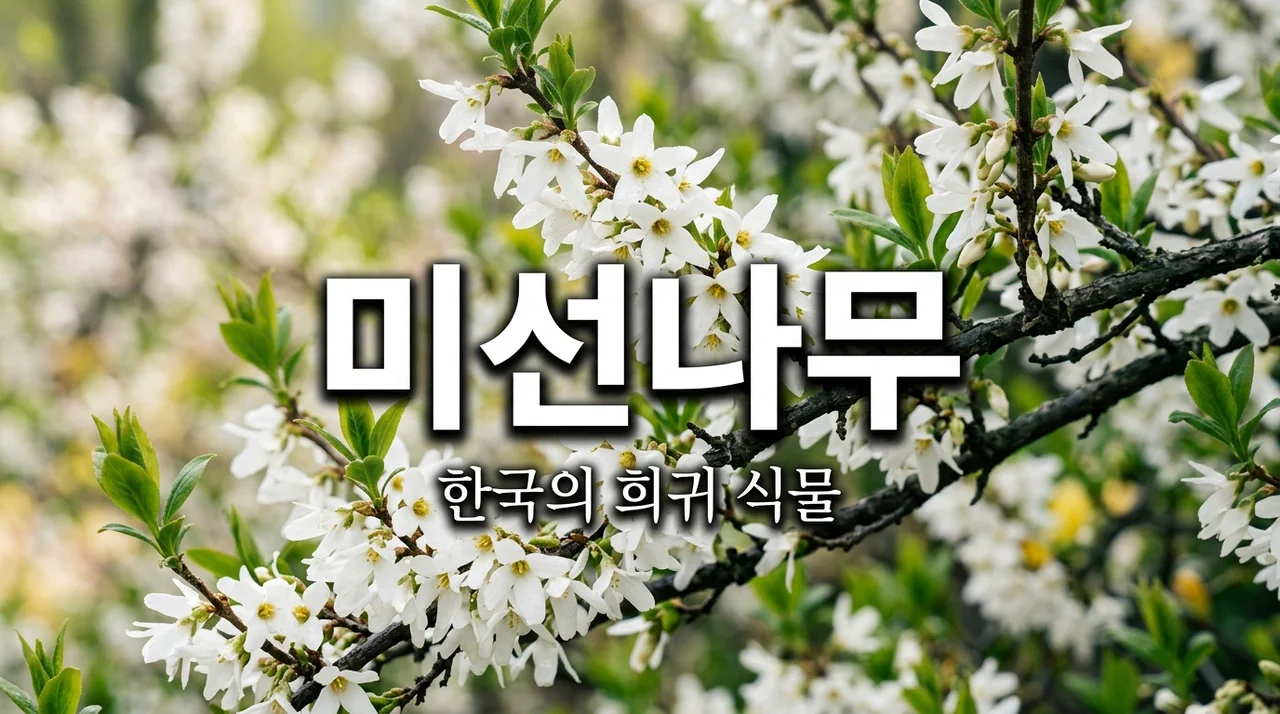 미선나무, 우리나라에만 있는 소중한 희귀 식물 완벽 가이드