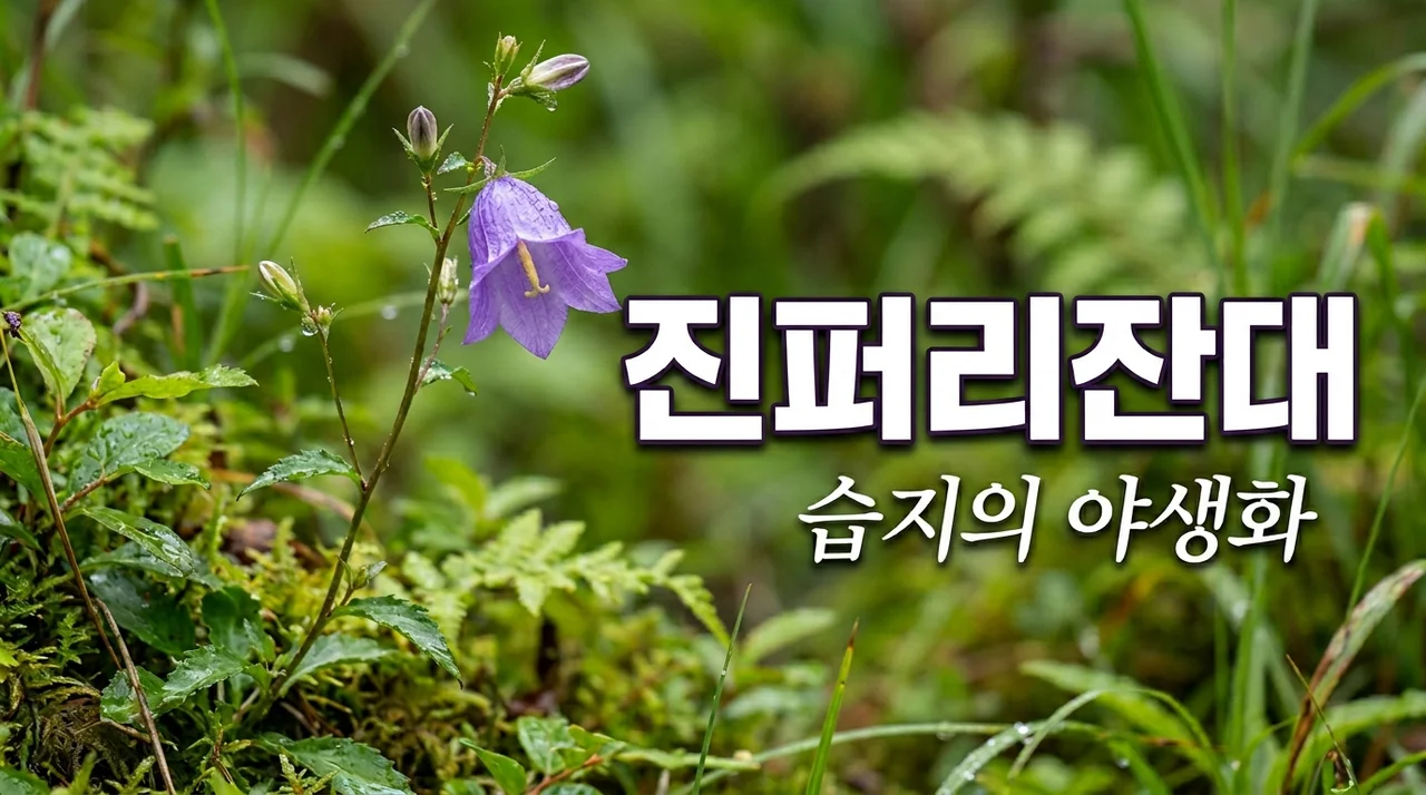 진퍼리잔대 특징과 식별 방법: 습지에서 만나는 야생화 가이드