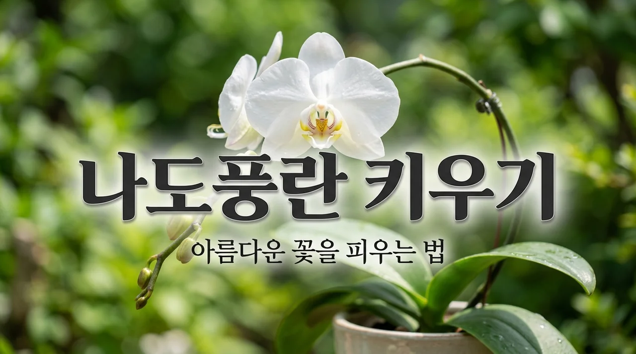 나도풍란 키우기 완벽 가이드: 꽃말과 분갈이 핵심 팁