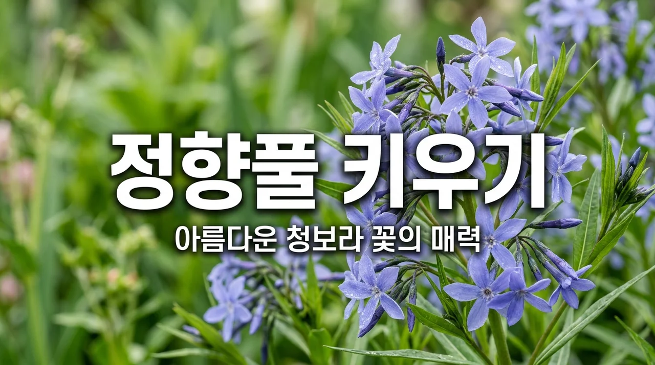 정향풀 키우기 완벽 가이드: 매력적인 청보라 꽃의 비밀