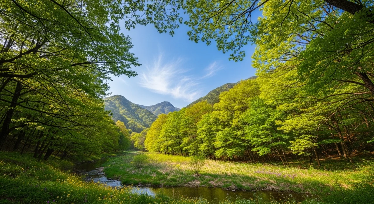 구례 지역에서 남바람꽃 만나기