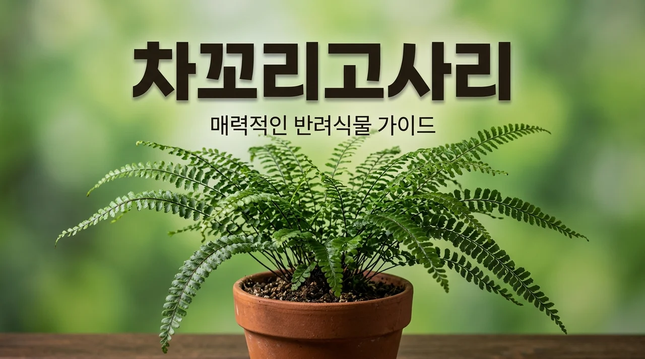 차꼬리고사리 특징 및 키우는 방법, 반려 식물로 어떨까?