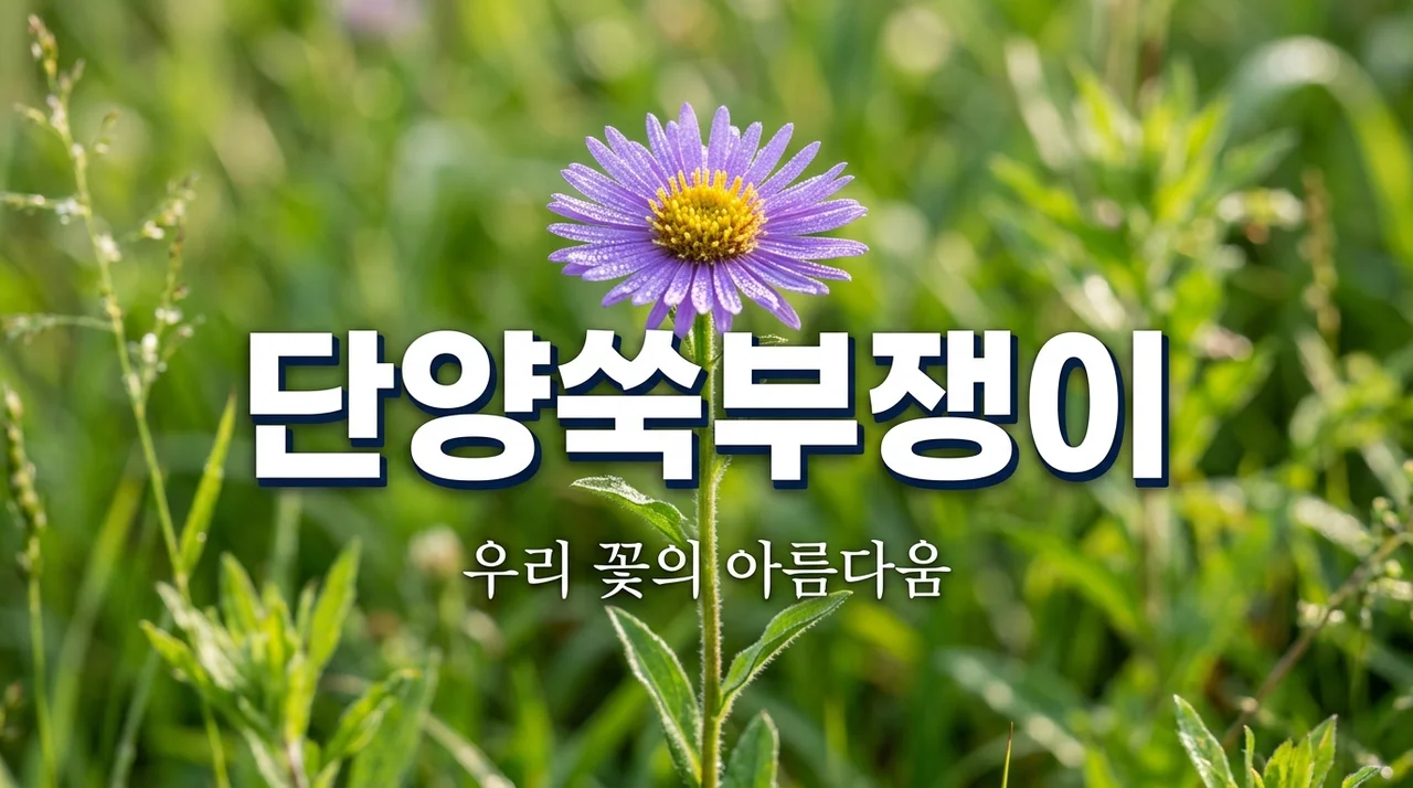 단양쑥부쟁이의 모든 것: 멸종위기 야생생물의 특징과 보호