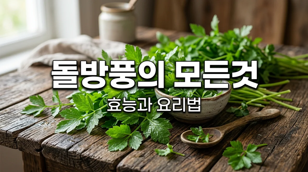돌방풍 효능과 맛있게 먹는 법, 봄철 건강 챙기는 꿀팁