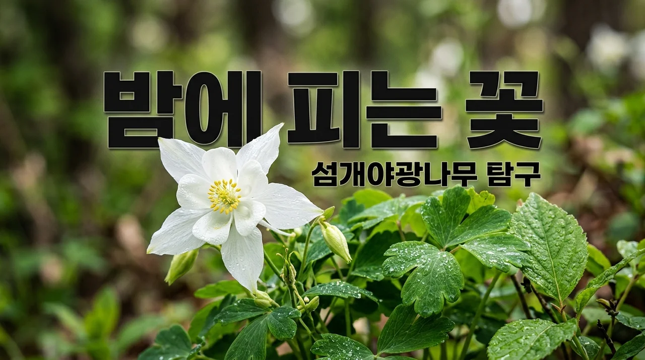 섬개야광나무, 밤에 빛나는 꽃? 신비로운 우리 특산 식물 탐구