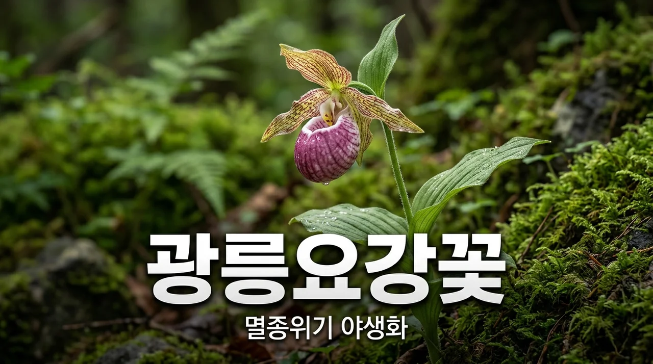 광릉요강꽃, 멸종위기 야생화의 신비와 만나는 방법