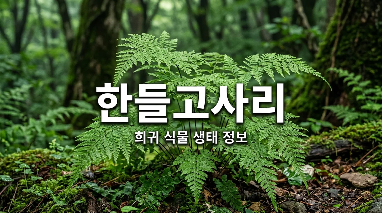 한들고사리 특징과 생태: 멸종위기 식물의 가치와 보전