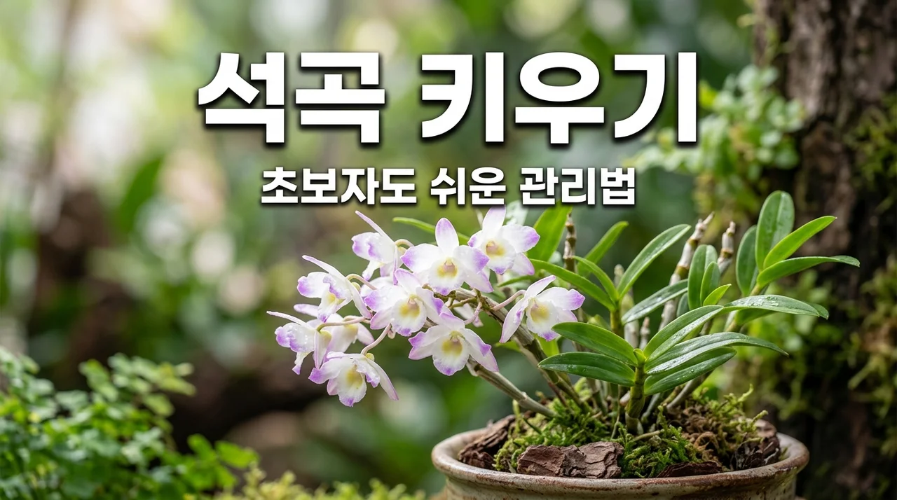 석곡 키우기 완벽 가이드: 개화시기부터 물주기 꿀팁까지