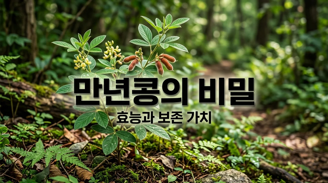 만년콩의 효능과 특징, 멸종위기 식물이 왜 특별할까?