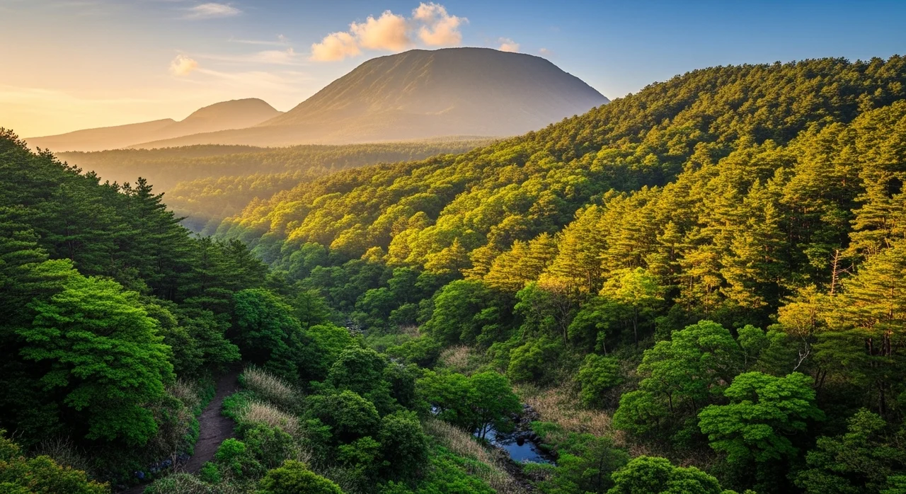한라천마와 제주의 자연 보존