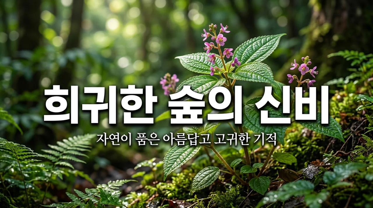 조도만두나무, 멸종위기 희귀식물의 생태적 가치와 보전