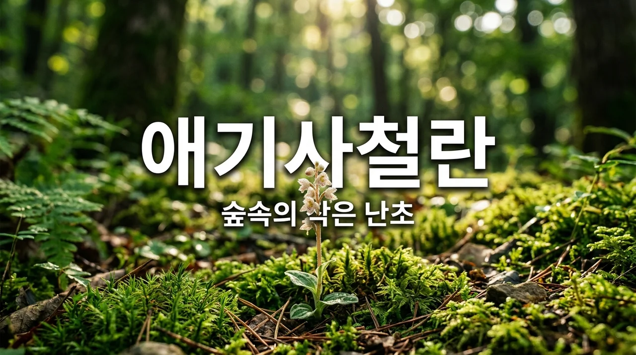 애기사철란 특징과 발견의 기쁨: 숲속의 작은 보석