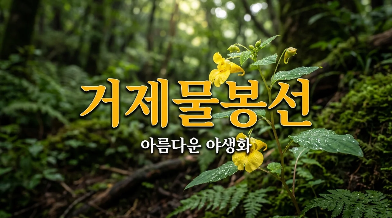 거제물봉선 특징과 식별법: 희귀한 우리 꽃을 만나다