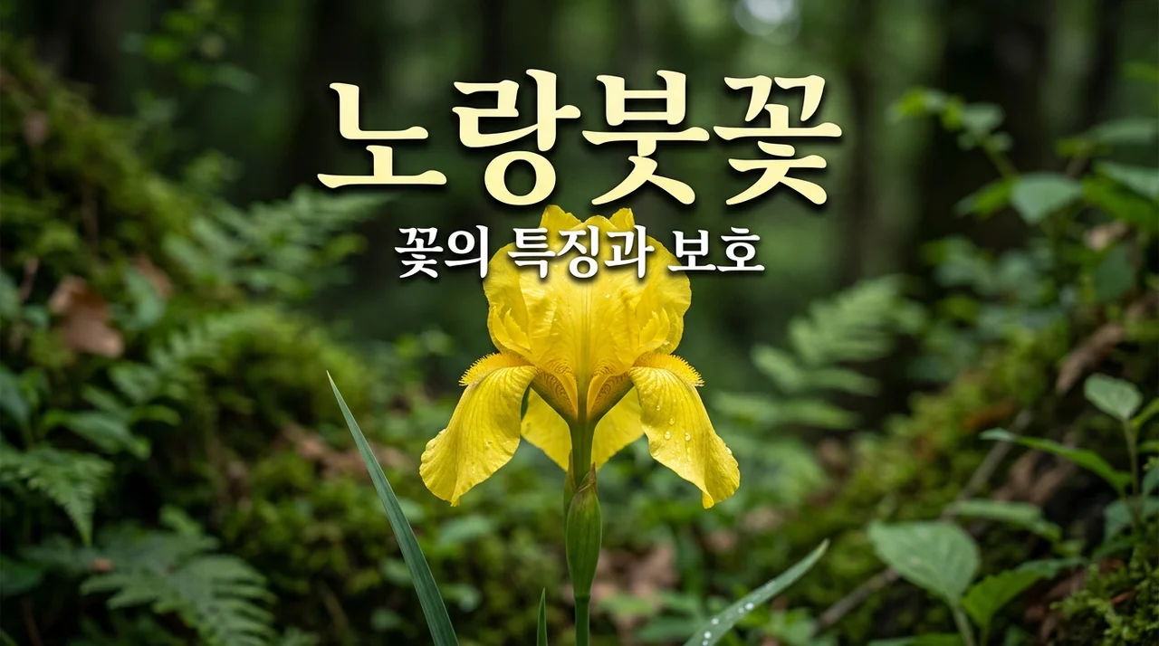 노랑붓꽃 특징과 개화시기, 멸종위기 식물을 보호하는 법