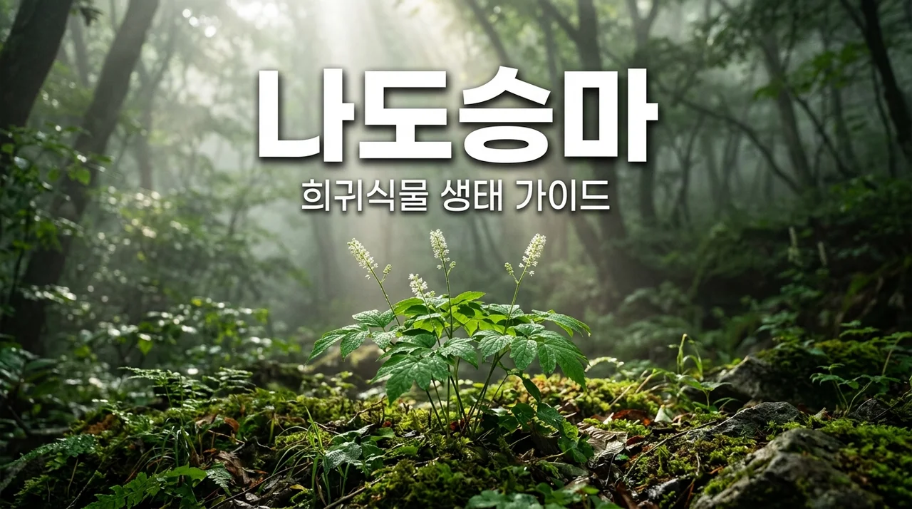 나도승마 알아보기: 멸종위기 야생식물의 가치와 특징