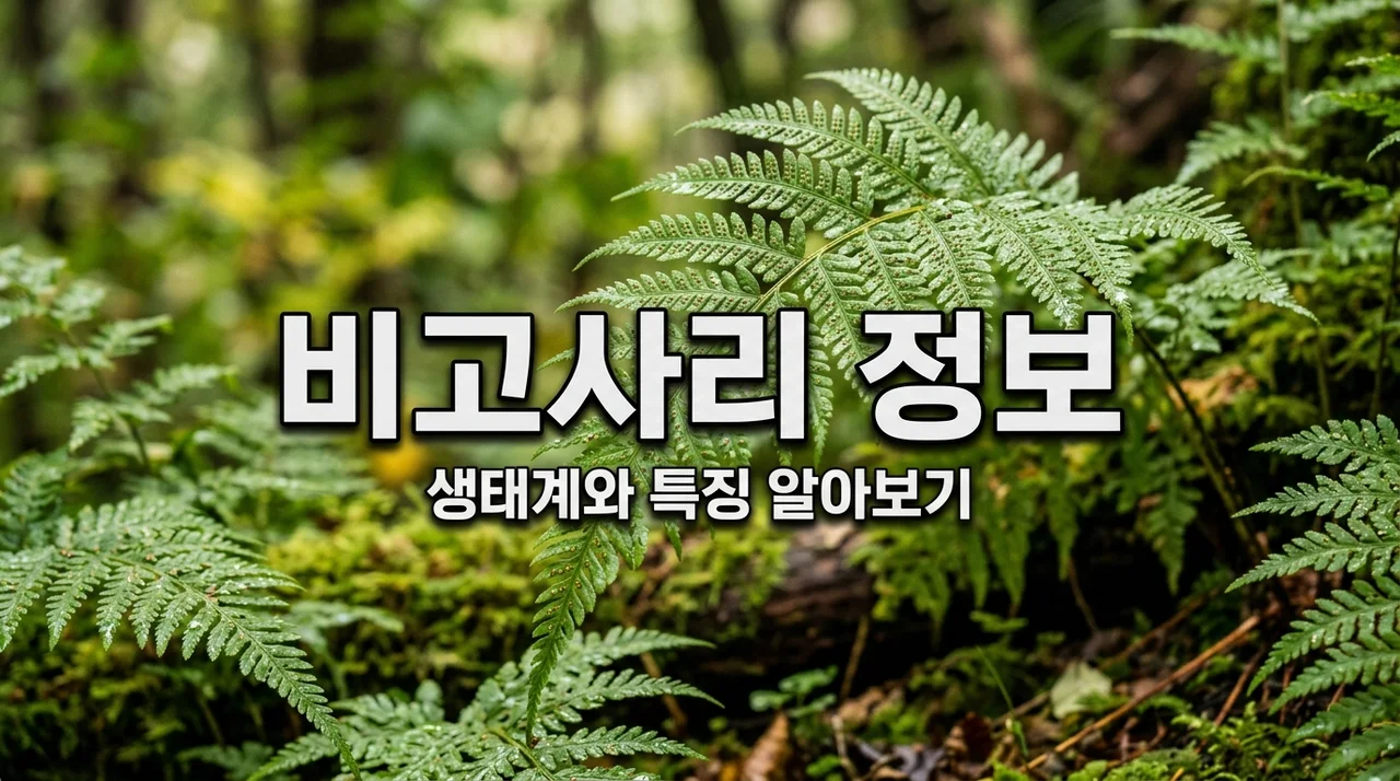 비고사리 특징과 종류, 멸종위기 식물에 대한 깊이 있는 이해