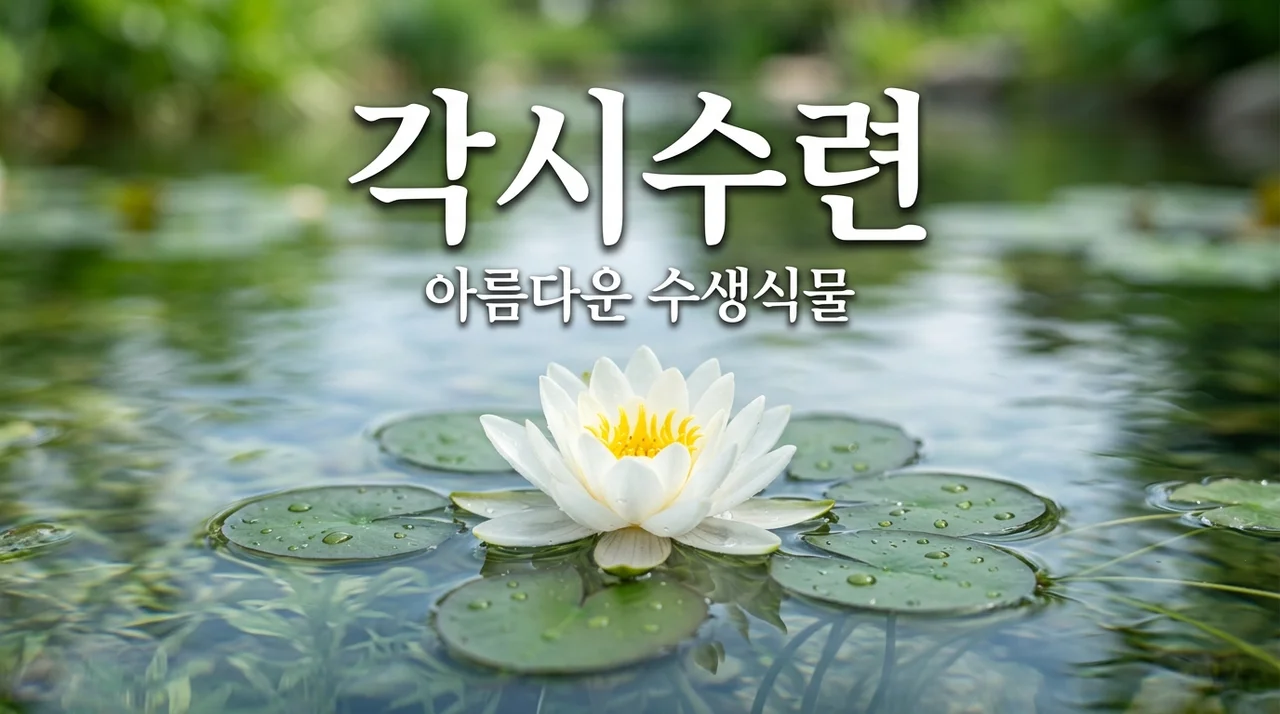 각시수련 키우기, 작지만 강한 아름다움을 감상하는 법