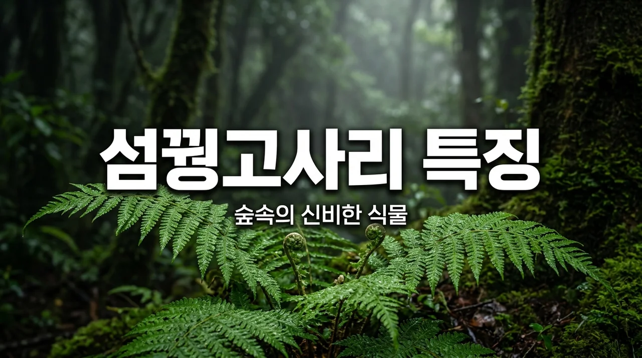 섬꿩고사리 특징과 관찰 가이드: 꿩고사리와 구분하는 법