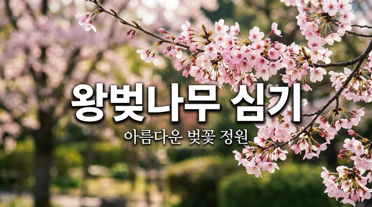 왕벚나무 심는 법과 특징: 내 집 앞을 벚꽃 명소로 만드는 가이드