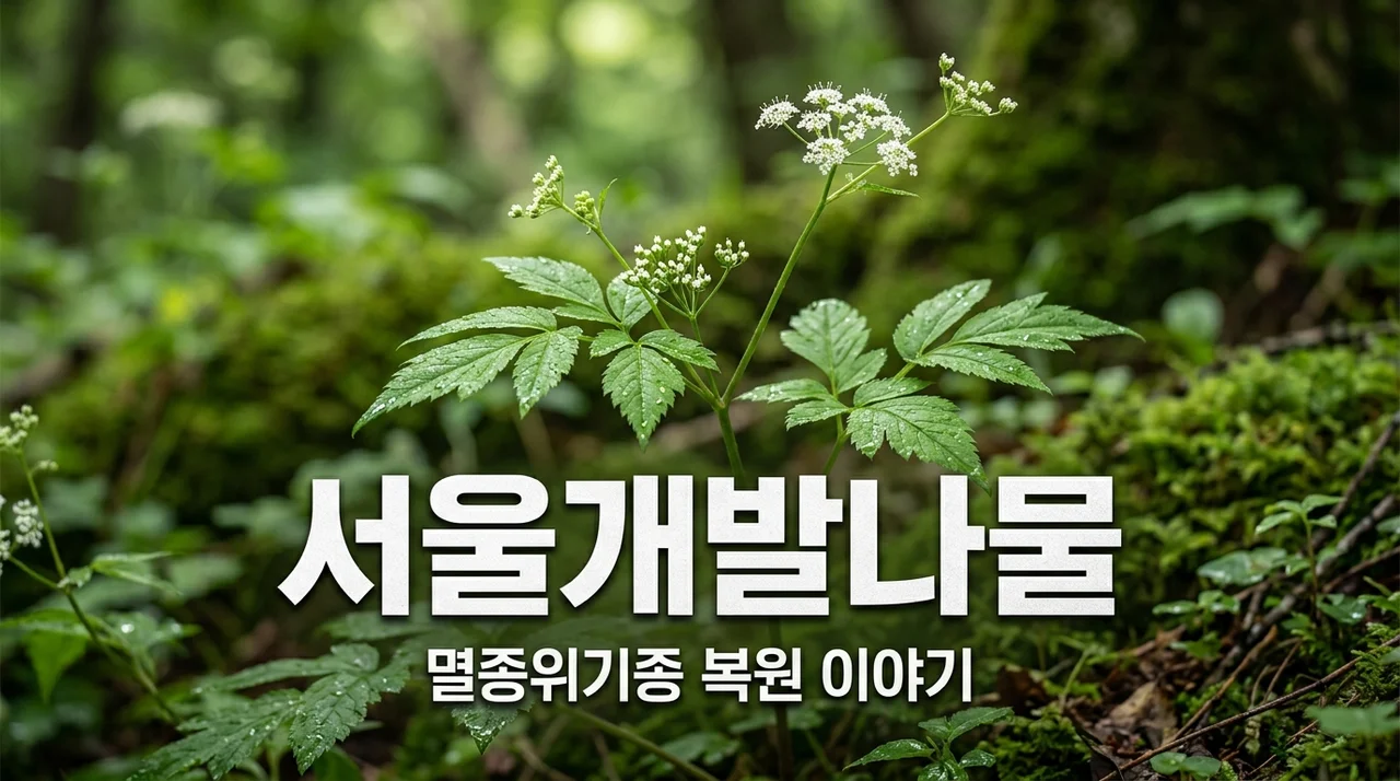 서울개발나물, 57년 만에 돌아온 우리 곁의 멸종위기 식물