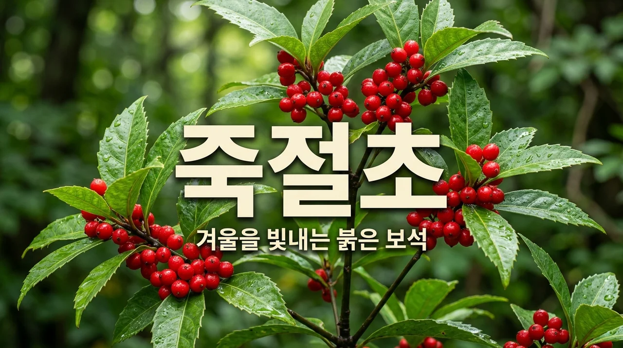 죽절초 특징 및 멸종위기 야생생물 보호의 중요성 알아보기