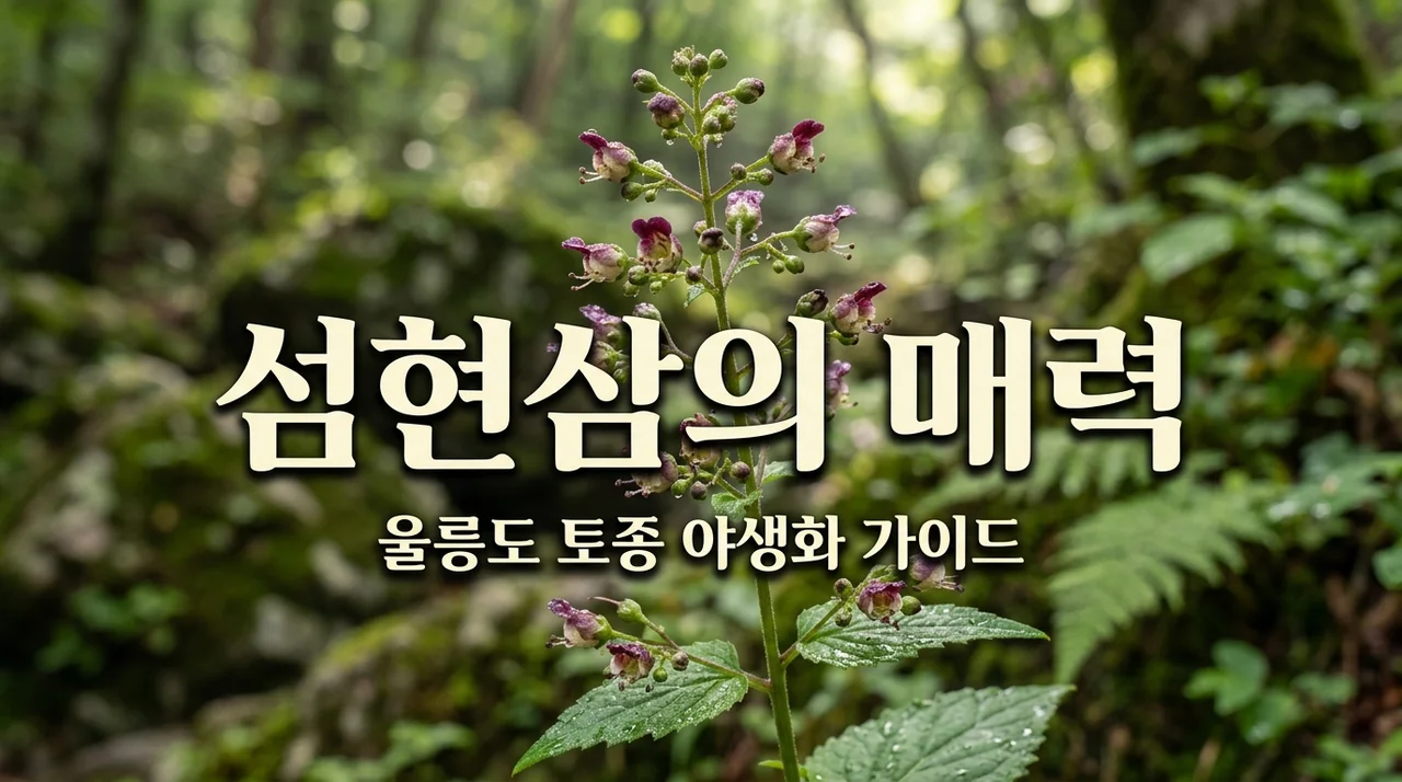 섬현삼 특징과 생태: 울릉도에서 만나는 귀한 토종 식물