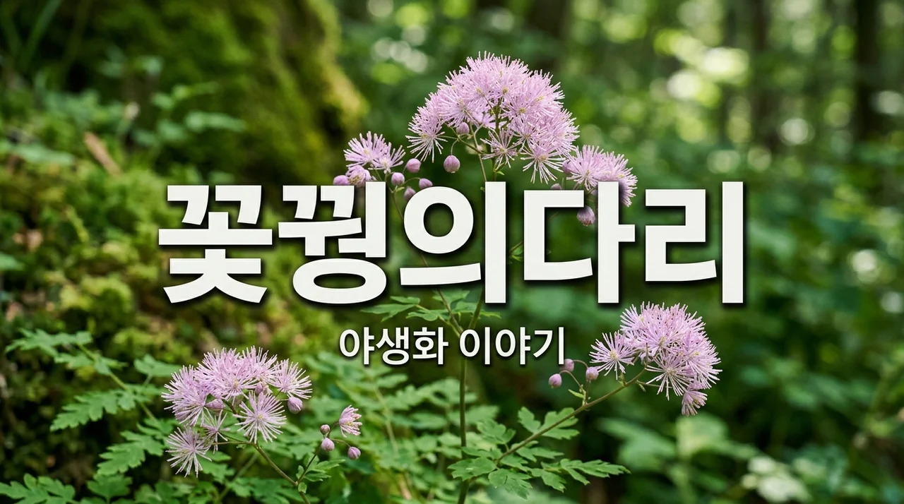 꽃꿩의다리 특징과 식별법: 자연이 선물한 우아한 아름다움