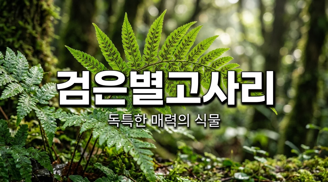 검은별고사리 특징과 식물학적 매력 완벽 정리