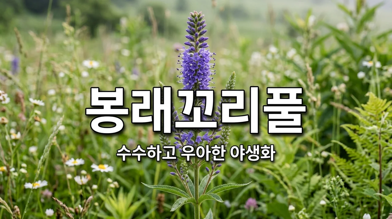 봉래꼬리풀의 특징과 매력: 수수하고 우아한 우리 야생화 알아보기