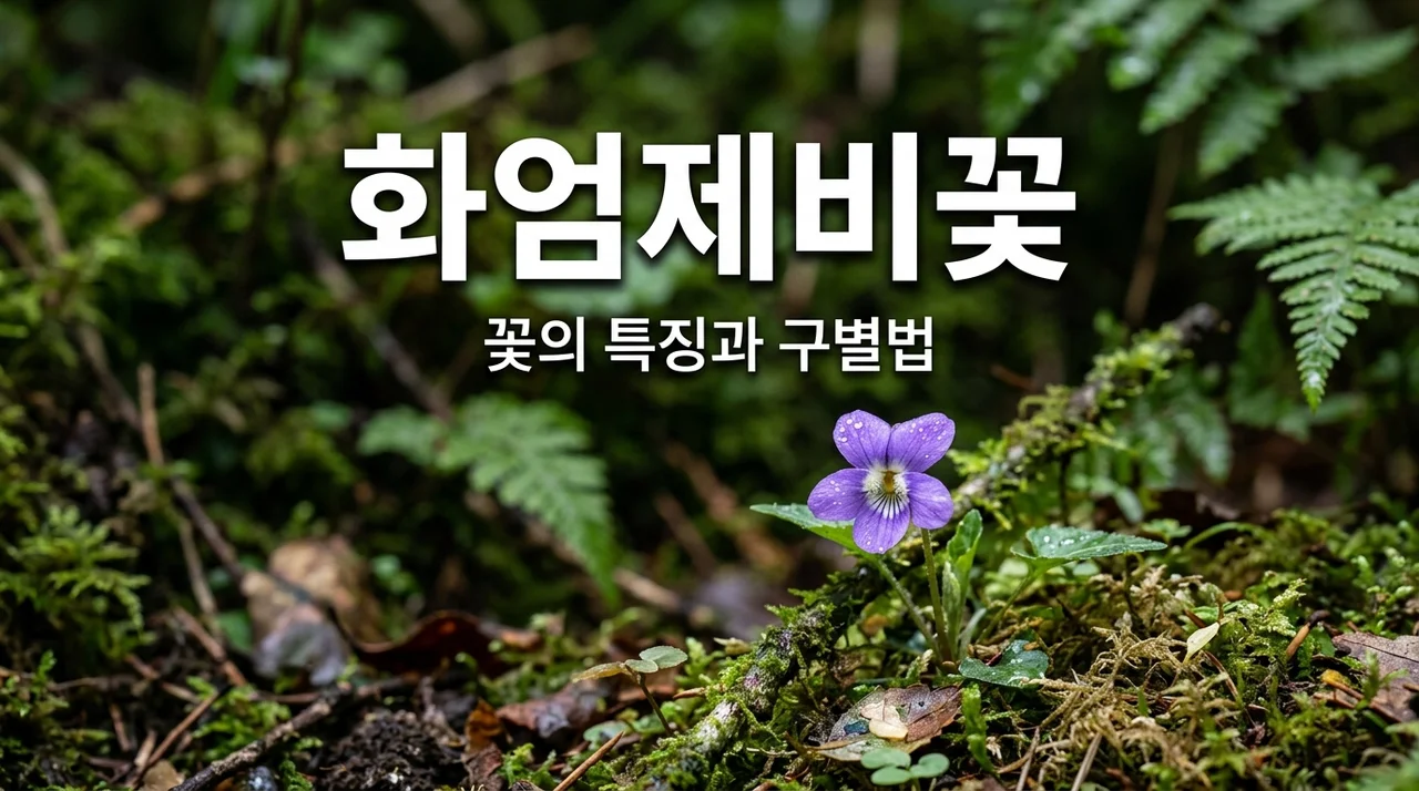 화엄제비꽃 특징과 구별법, 남산제비꽃과 차이점 완벽 정리