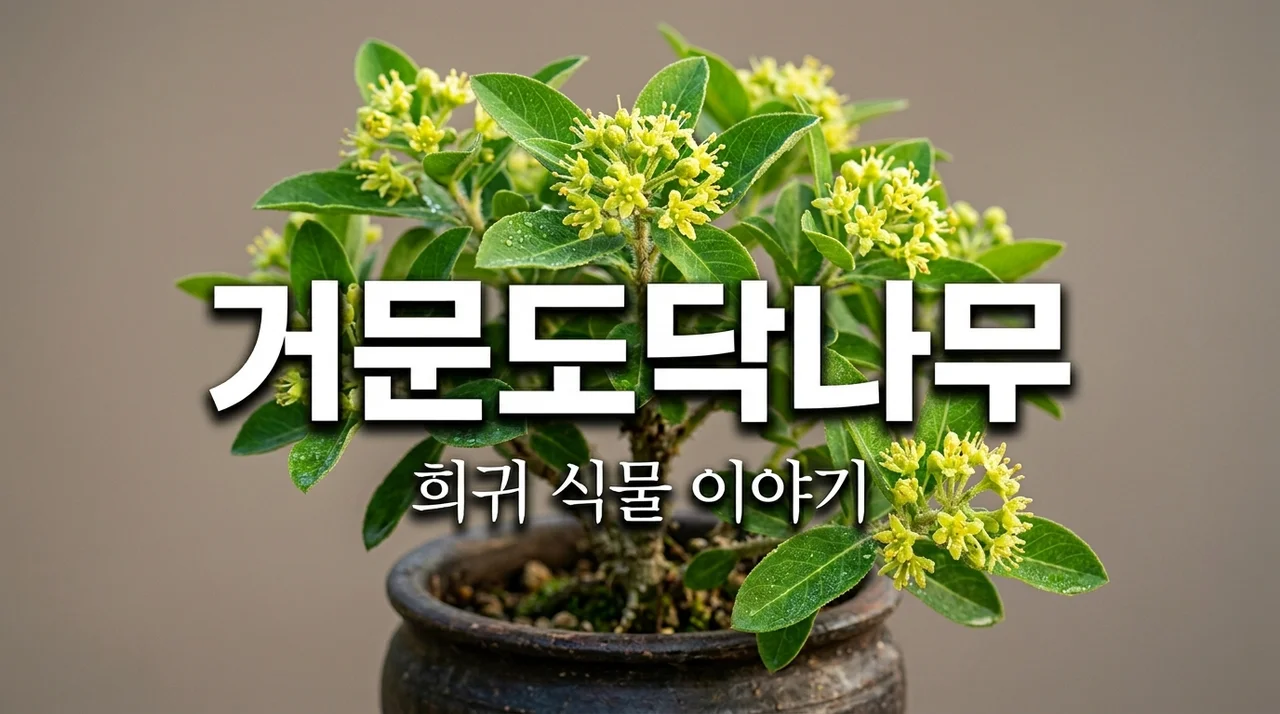 거문도닥나무란? 희귀식물의 매력과 특징 완벽 정리