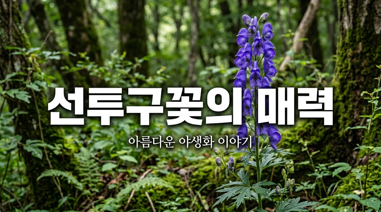 선투구꽃 특징과 아름다움: 우리 산야에서 만나는 야생화 가이드