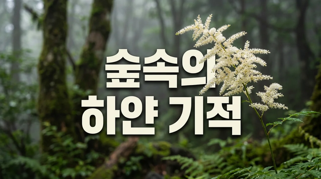 한라개승마 특징과 생태: 우리나라 특산식물의 신비로운 매력