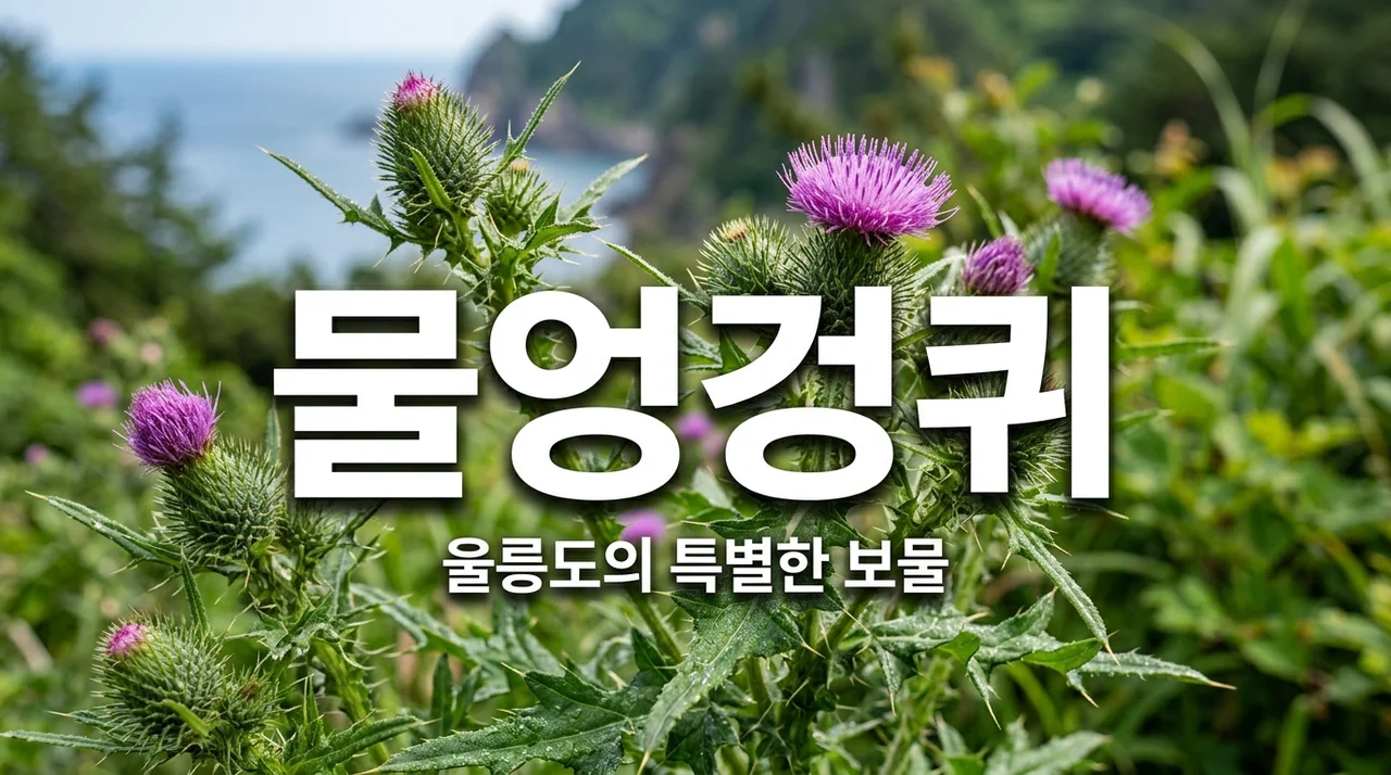 물엉겅퀴 효능과 특징, 울릉도 보물 식재료 완벽 정리