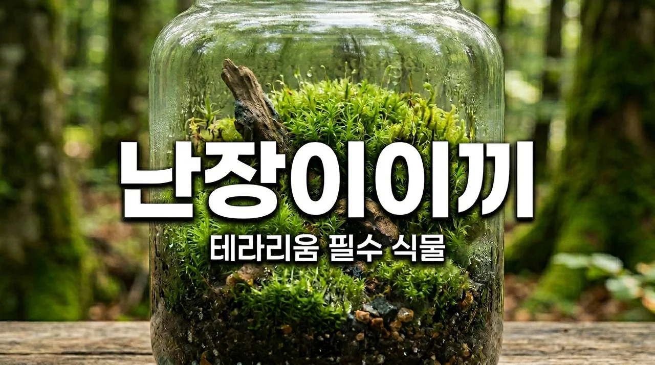 난장이이끼 키우기 방법: 테라리움 환경 조성 꿀팁