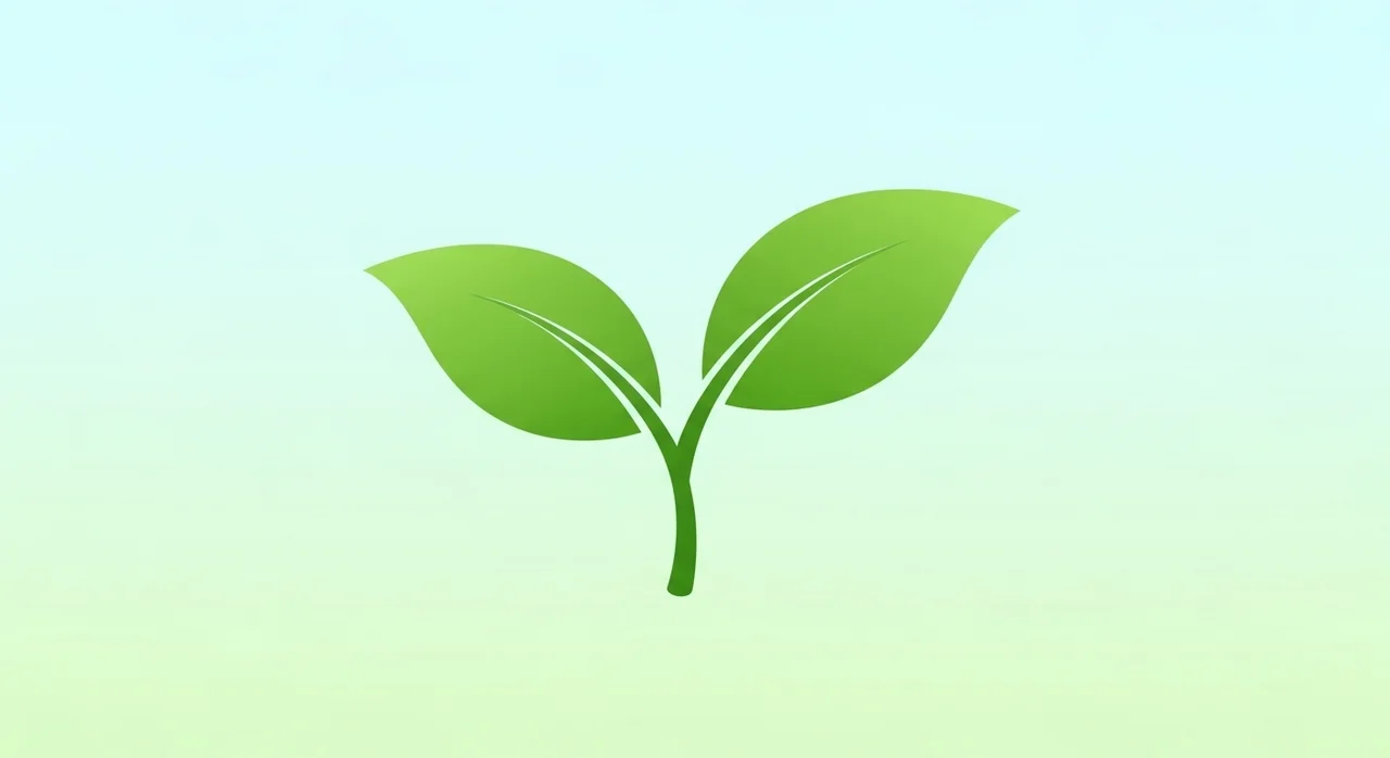 섬오갈피의 놀라운 효능 3가지